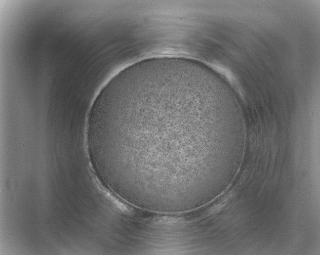 X0000074961374200609152045