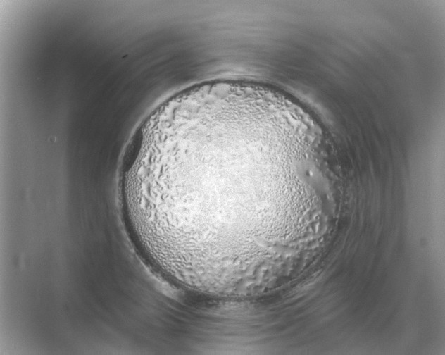 X0000074961375200609152045