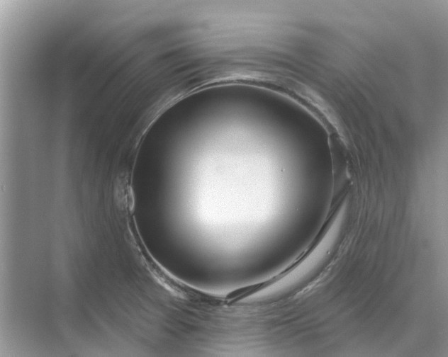 X0000074961377200609152045