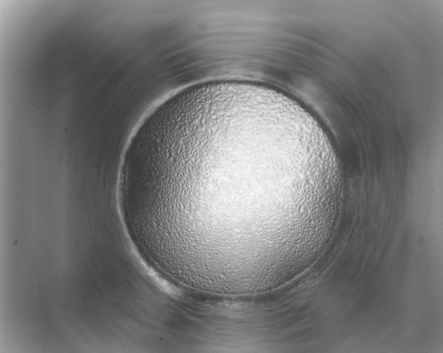 X0000074961379200609152045