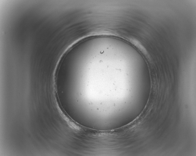 X0000074961380200609152045