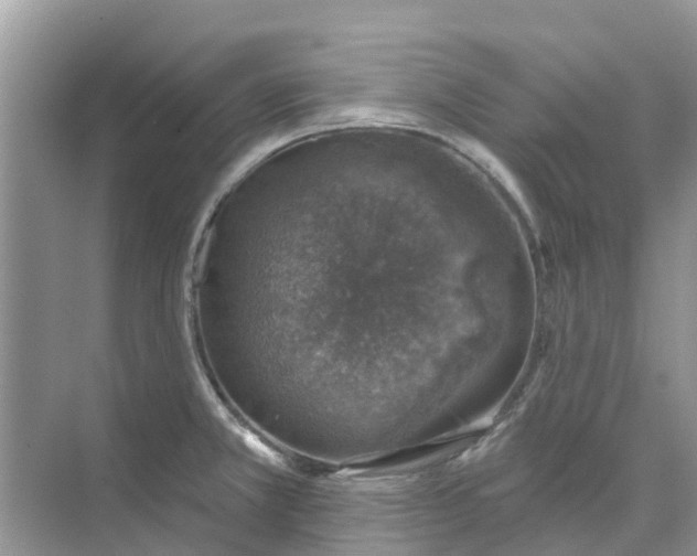 X0000074961381200609152045