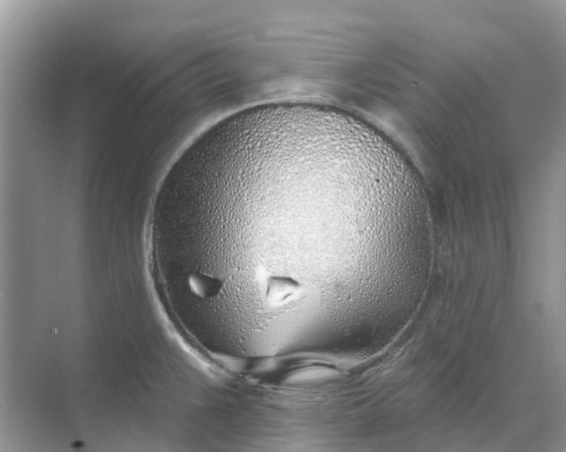 X0000074961383200609152045