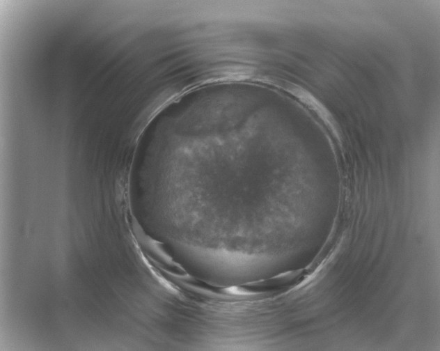 X0000074961385200609152045