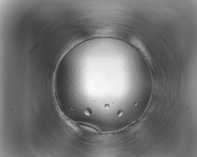 X0000074961386200609152045