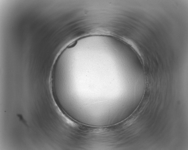 X0000074961387200609152045