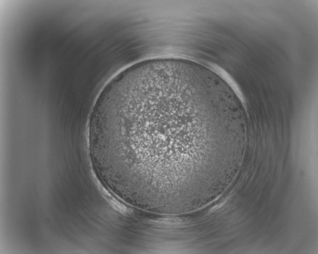 X0000074961388200609152045