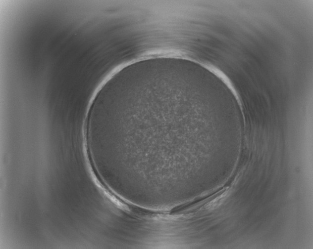 X0000074961389200609152045