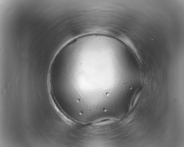 X0000074961391200609152045