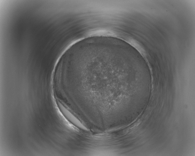 X0000074961392200609152045