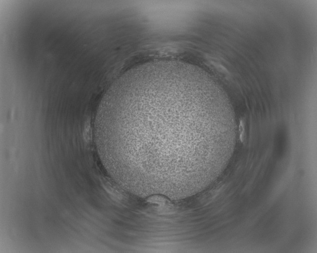 X0000074961395200609152044