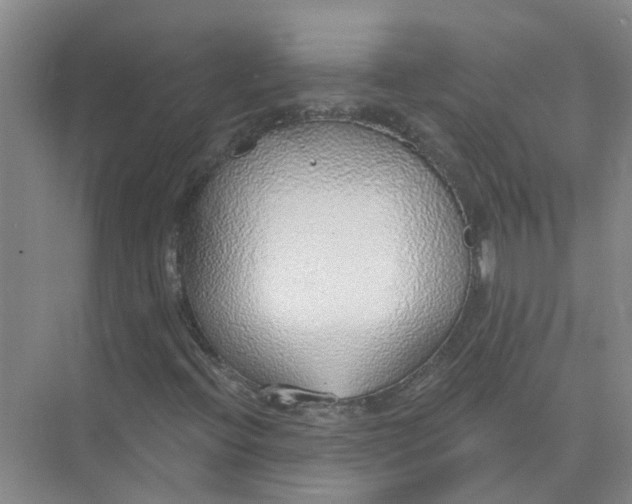 X0000074961396200609152044