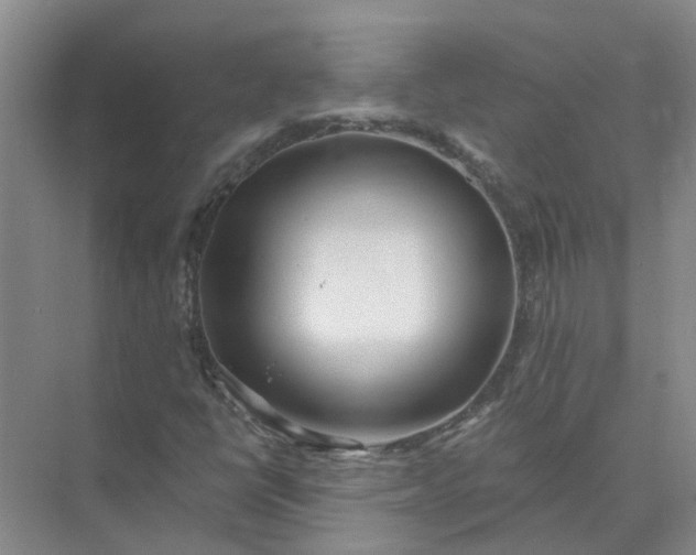 X0000074961398200609152044