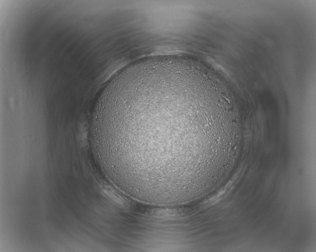 X0000074961401200609152044