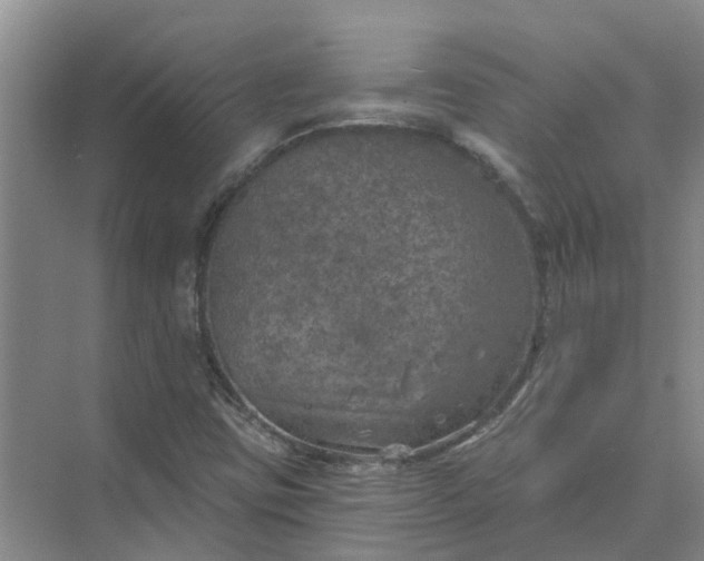 X0000074961403200609152044