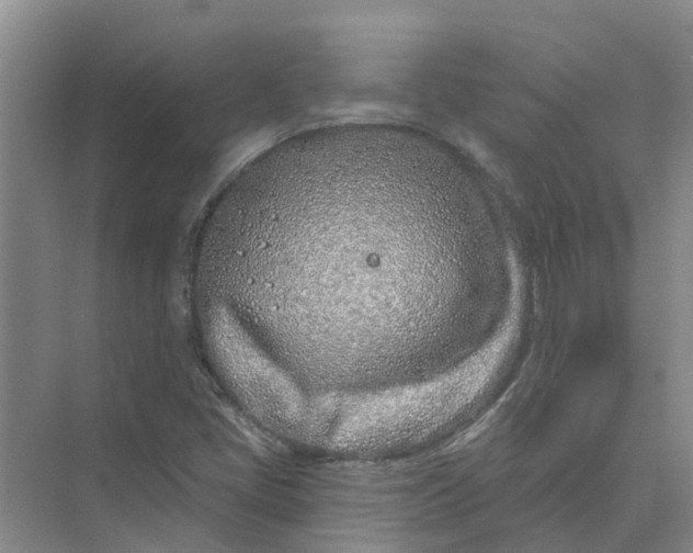 X0000074961405200609152044