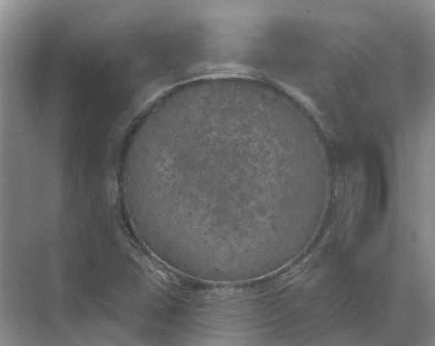 X0000074961407200609152044