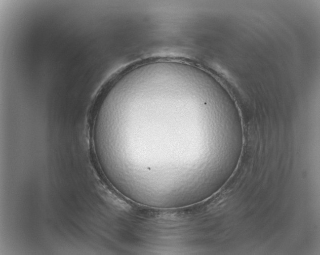 X0000074961408200609152044