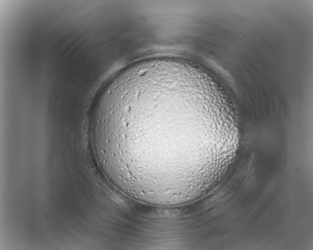 X0000074961411200609152045