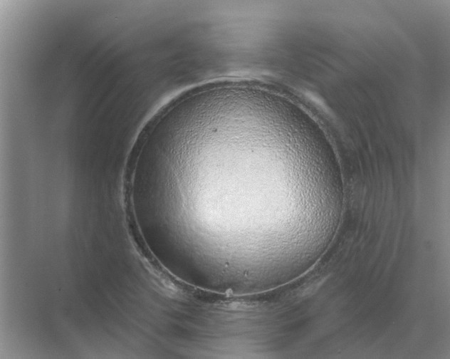 X0000074961412200609152045