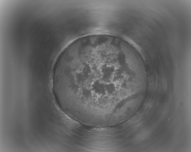 X0000074961415200609152045