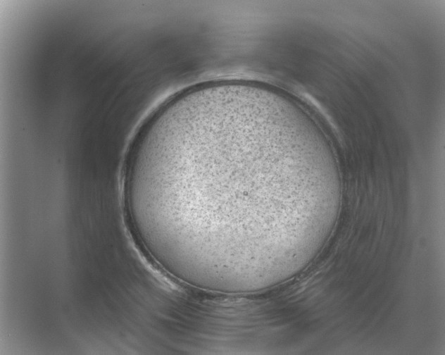 X0000074961416200609152045