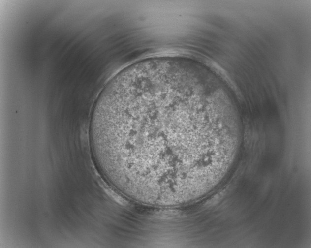 X0000074961417200609152045