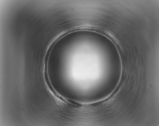 X0000074961418200609152045