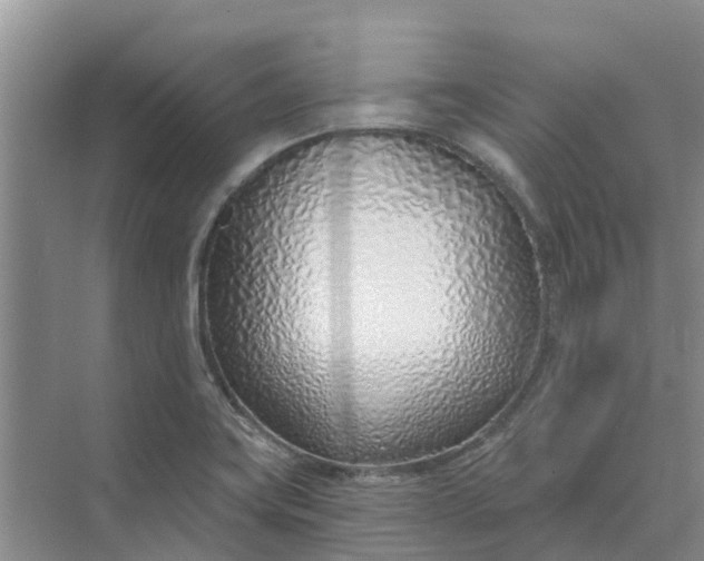 X0000074961419200609152045