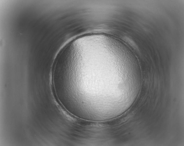 X0000074961420200609152045