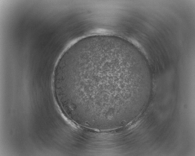 X0000074961421200609152045