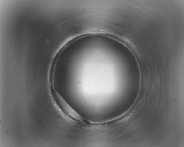 X0000074961422200609152045