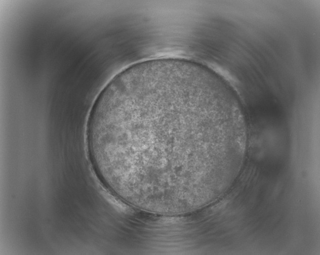 X0000074961423200609152045