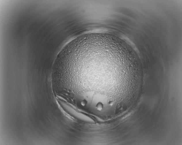 X0000074961425200609152045