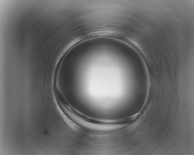 X0000074961426200609152045