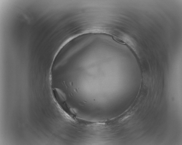 X0000074961428200609152045