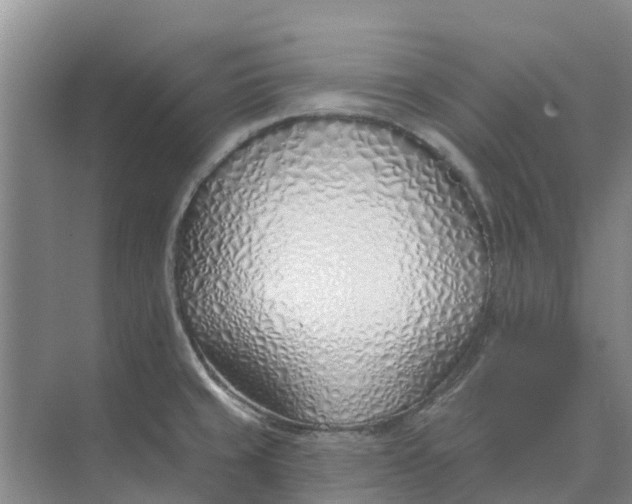 X0000074961429200609152045