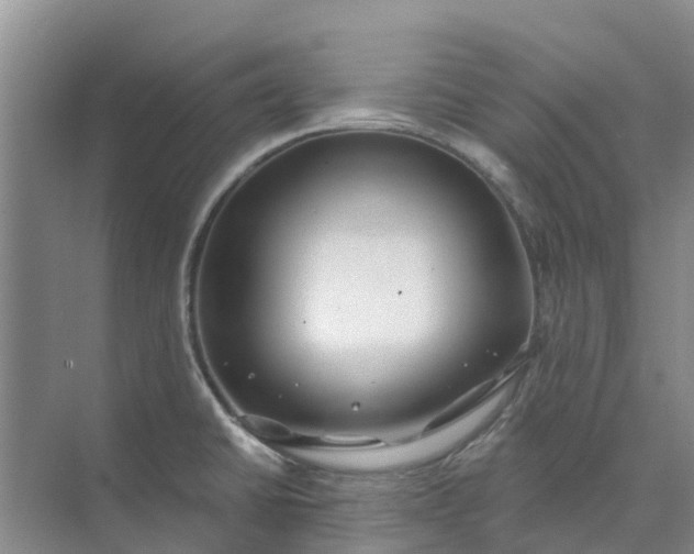 X0000074961430200609152045