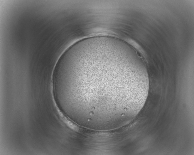 X0000074961431200609152045