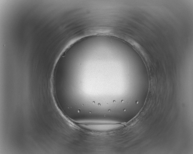 X0000074961432200609152045