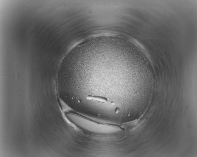 X0000074961433200609152045