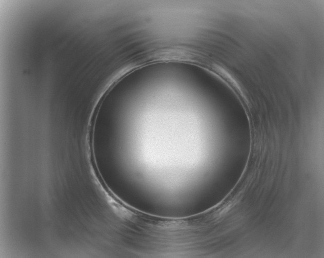 X0000074961434200609152045