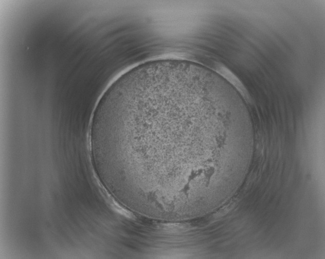 X0000074961436200609152045