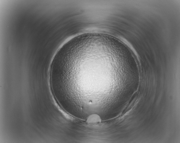 X0000074961437200609152045