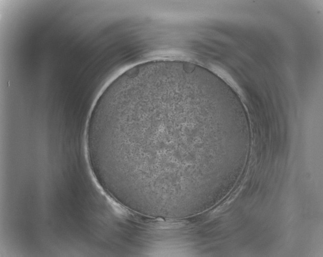 X0000074961440200609152045