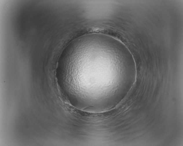 X0000074961441200609152044