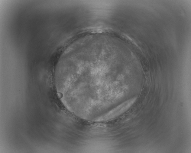 X0000074961446200609152044