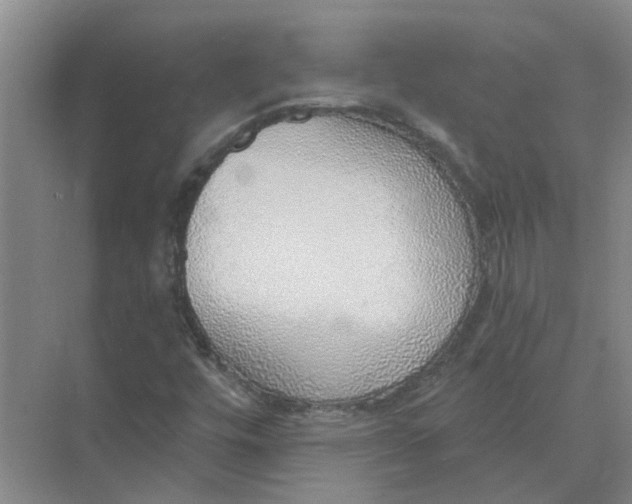 X0000074961448200609152044