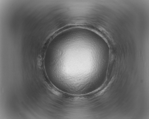 X0000074961449200609152044