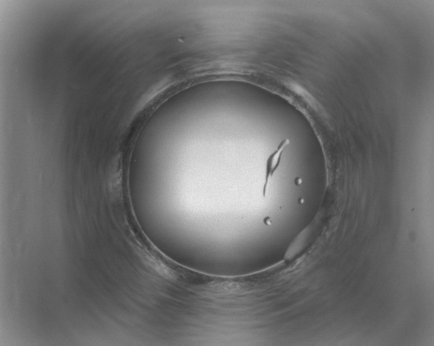 X0000074961450200609152044